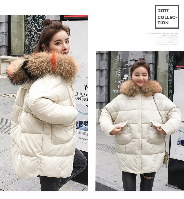 9036794027_1006637240