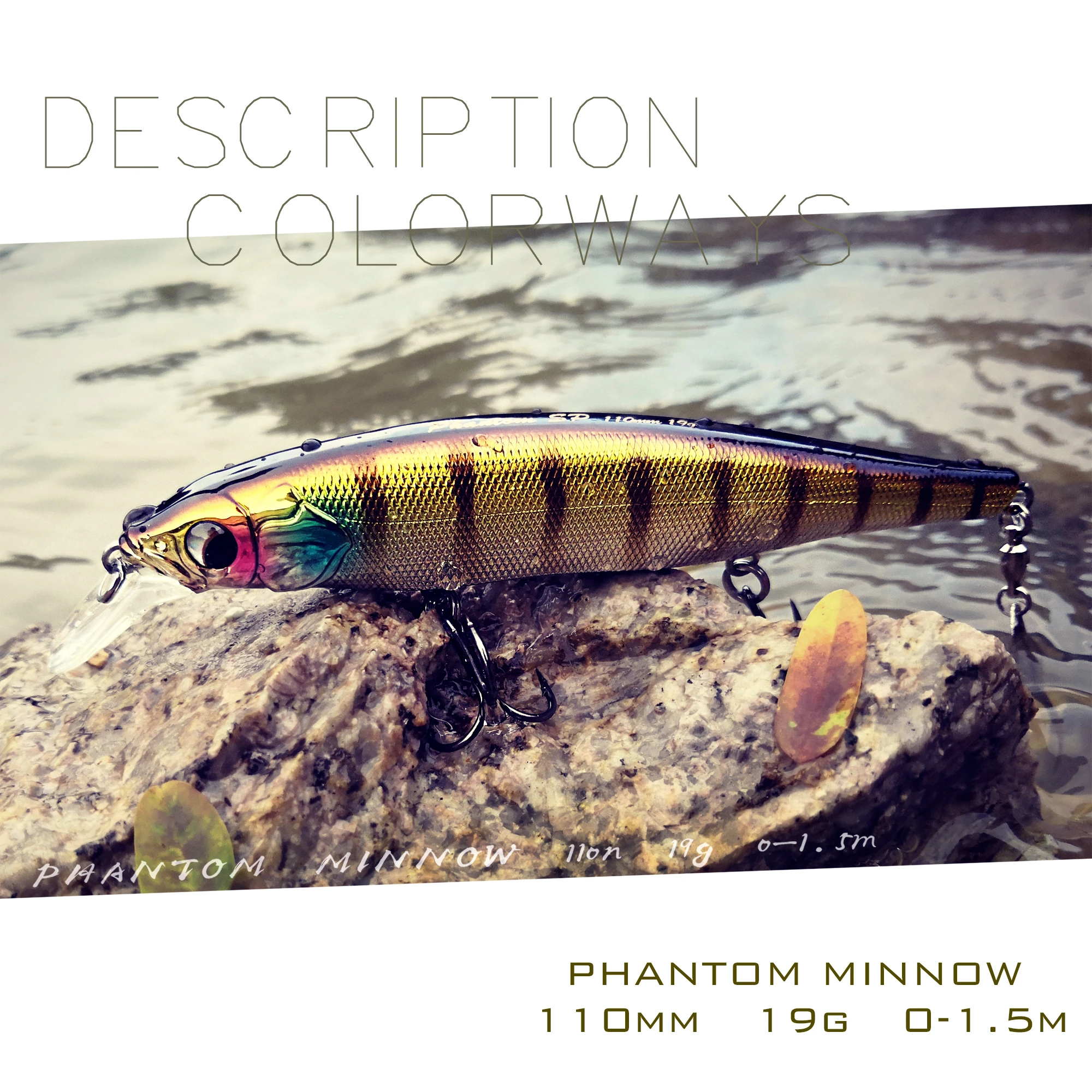 minnow fish bait