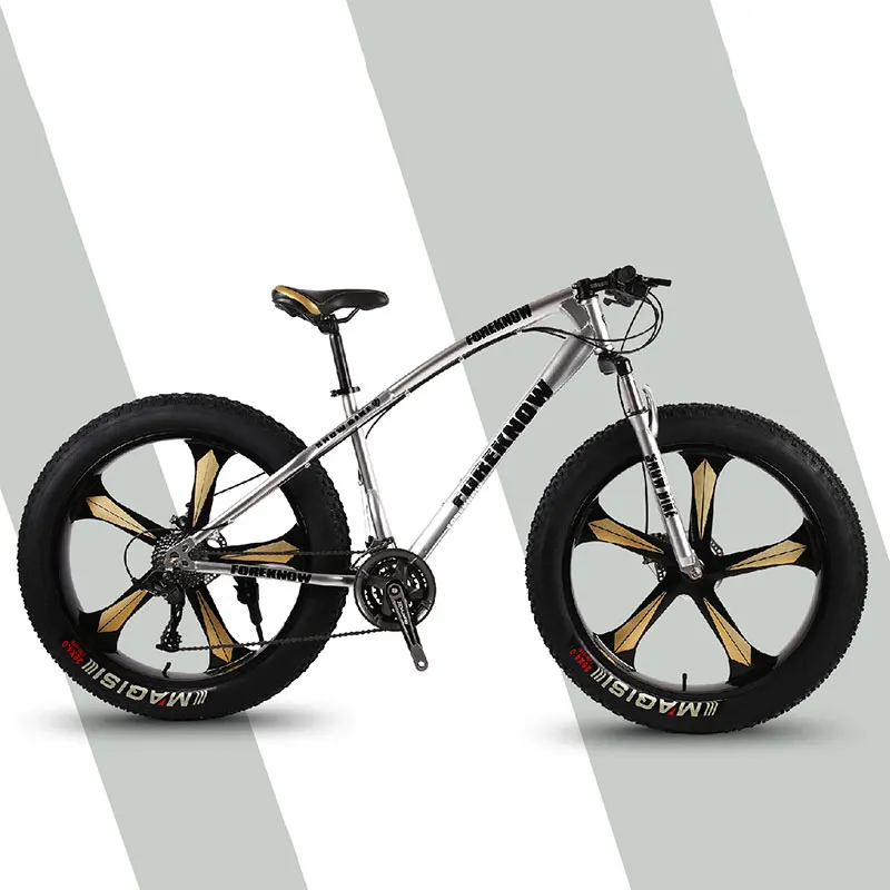 Mountain Bike Mountain Cross Country Beach Snowmobile Adult Wide Tire Leisure Scooter Speed Male and Female Students Bicycle