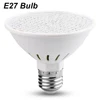 Only E27 Bulb