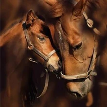 GATYZTORY 5D алмазная живопись полный квадрат DIY домашний декор мозаика Стразы Картина на холсте с логотипом на стену маленькая лошадь