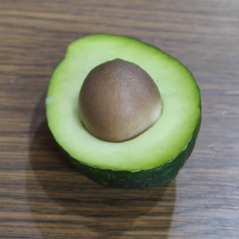 Artificial Fruits Foam Simulation Avocado Lifelike Fruit Model Toy Props for Teaching Photography Props Home Decor