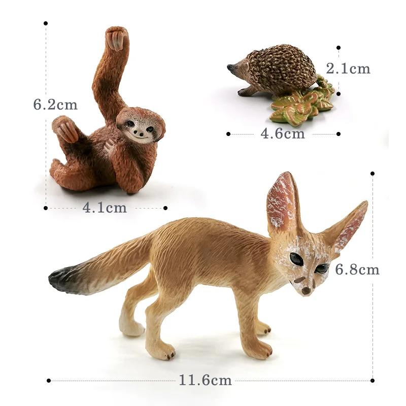 コモドドラゴントカゲ,オオカミ,犬,猫,ナマケモノ,鳥,キツネ