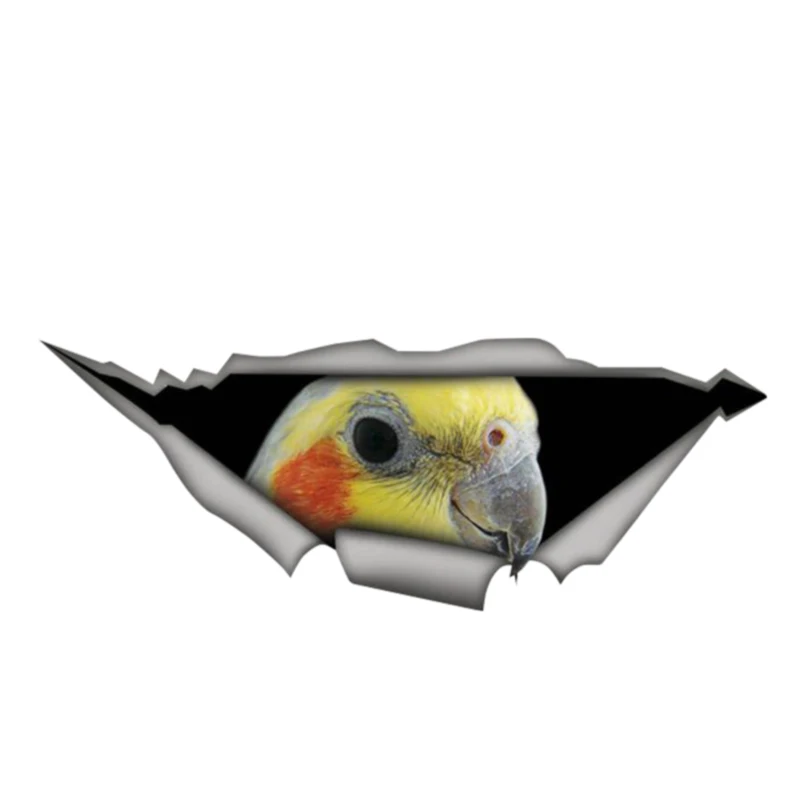 

13cm x 5cm Cockatiel parrot decal Sticker Torn Metal Decal Wild Animal Car Stickers Window Bumper 3D Car Styling Car accessories