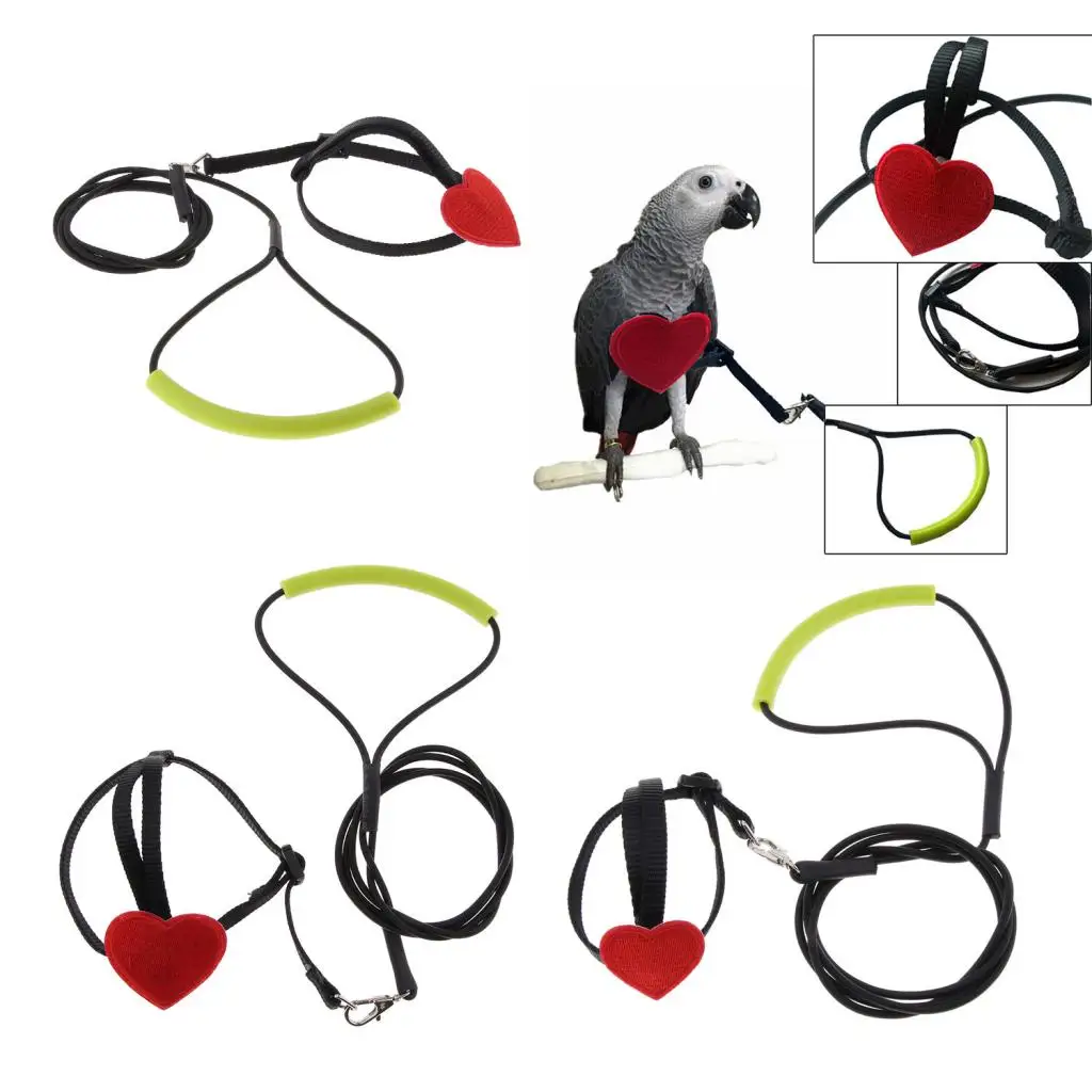 Bird Parrot Harness Leash Pet Rope For Birds Outdoor Training Leash Parrot Bird Leash Bird Harness Leash