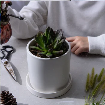 

1 Set Mini Ceramic Pots Small Fleshy Pots Flower Pots Garden Decorations Outdoor Decor with Plate for Home Garden (S Size, White