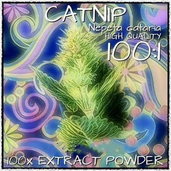

Catnip (Nepeta cataria) | 100x Extract Powder [5 Grams-10 Grams]