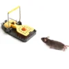 5/12PCS Reusable Mouse Trap Rat Mice Catching Small Rat Traps Mouse PestKiller Mouse Snap Traps Rodent Catcher For Home