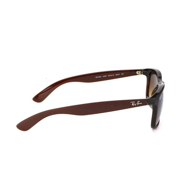 Gafas de sol Ray-Ban RB4202 ANDY 607313 MARRÓN MATE