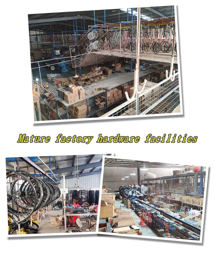 11311650492_777108424