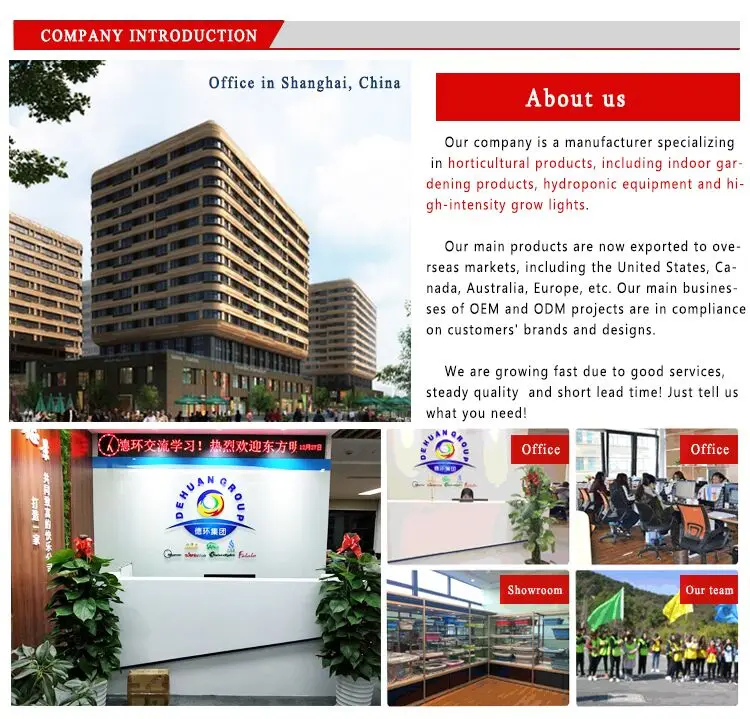 QQ1