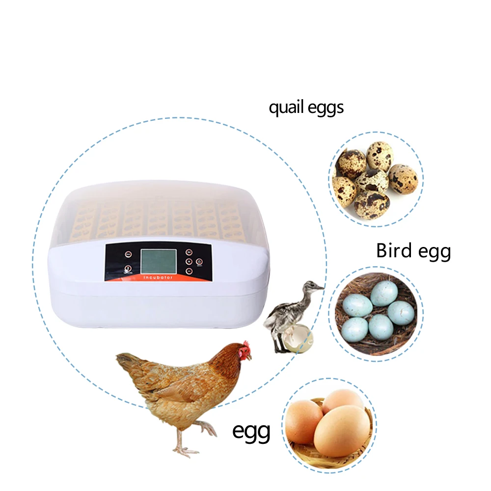 HTB1e2NHaOnrK1Rjy1Xcq6yeDVXaD