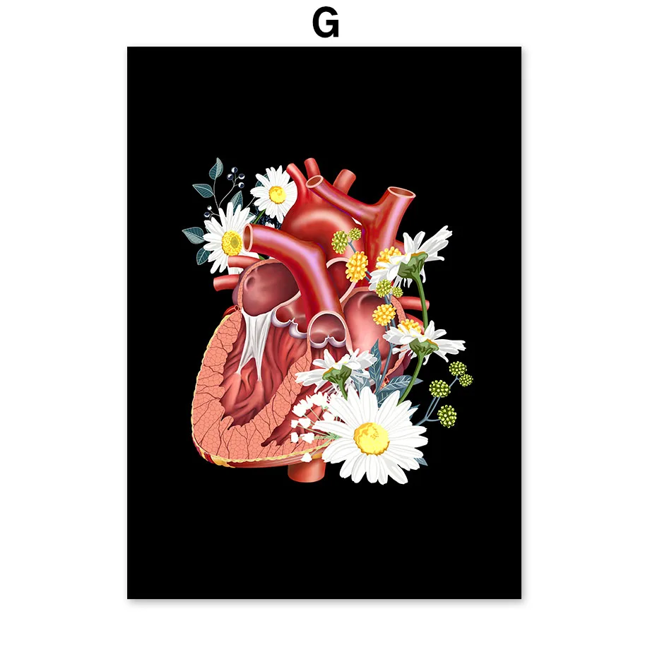 Сердце мозгов, черно-белая анатомия, винтажная настенная живопись на холсте, скандинавские плакаты и принты, настенные картины для декора гостиной - Цвет: G