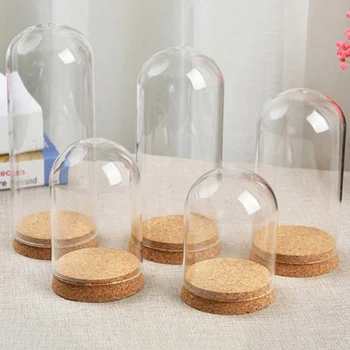 

Immortal Flower Glass Cover Cork Storage Dustproof Clay Decorative Bottle Diameter 8cm