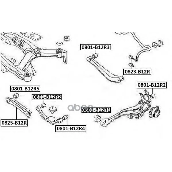 Тяга Подвески Поперечная | Зад Прав/Лев | Subaru Legacy B12 1997-2003 Subaru Legacy B13 2003- ASVA арт. 0825B12R