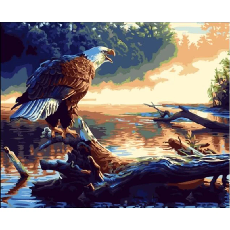 

Painting By Number Eagle Animal On Canvas Frame Color DIY Kits For Adults HandPainted Acrylic Paint By Number For Drawing Decor