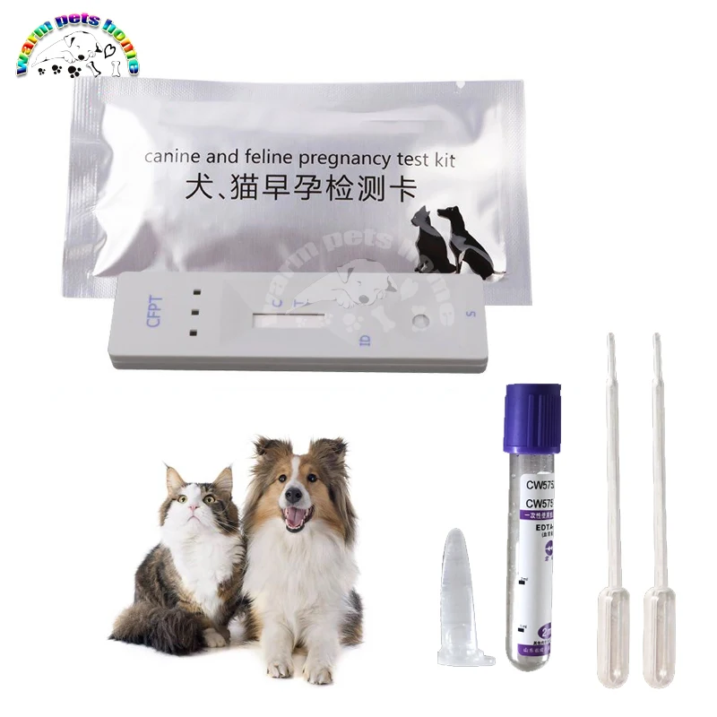 Dog Pregnancy Test Strip Dog Cat Pregnancy Test Card Canine and Feline Pregnancy Test Kit Veterinary supplies|Dog Accessories| - AliExpress