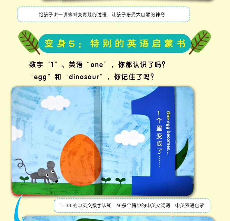 Livro de Matemática Livros em Inglês Número Mágico Animais Imagem Livros Bebê Aprendizagem Matemática Educação Precoce Crianças Leitura Brinquedo 3d 9 3d número mágico animais imagem livros bebê