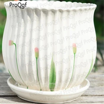 

Prodgf 1Pcs A Set pot united states love 3232323