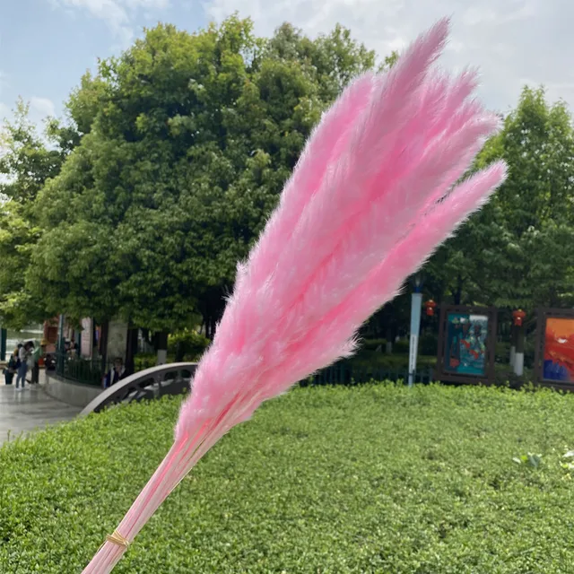 Dekoration 15Pcs Free Shipping Dried Pampas Grass Decor Wedding Flower Bunch Natural Plants for Home Christmas Decorations Pink