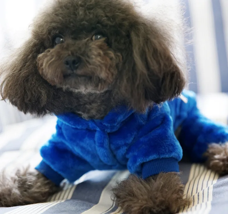 PETCIRCLE Одежда для собак Теплый плюш осень и зима Питер Пэн плюшевый мишка одежда для собак товары для домашних животных