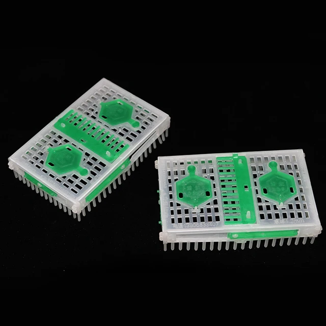 Bee Berendezések Queen Cage Nagykereskedelmi Méhészet Apis Mellifera Ligustica Spinola Új Mee Cagets Eszköz