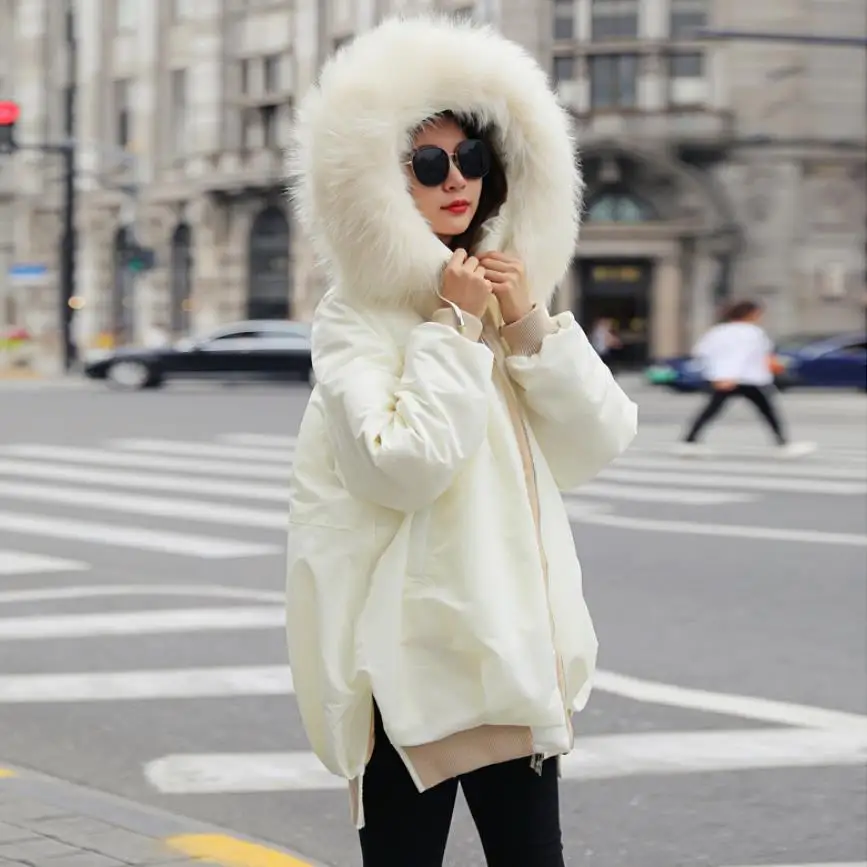 4089937349_718416062