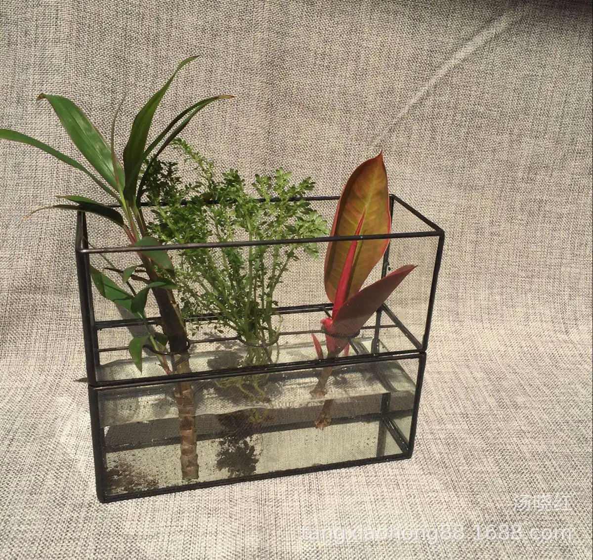 

Xiamen Glass Greenhouse Micro Landscape Multi-functional Combination Grow in Water Glass Greenhouse Succulents Glass Flowerpot