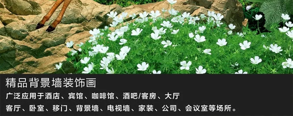 webp.webp (7)
