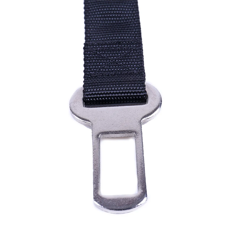 c96b7b9d-04e5-426c-af41-344af56551f5