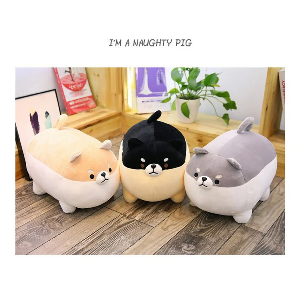 PF184601-C-20062807-1