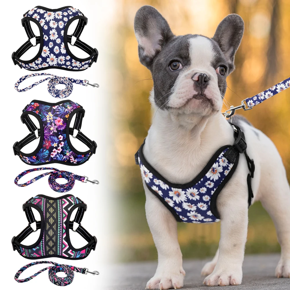 Fashion Printed Nylon Dog Harness