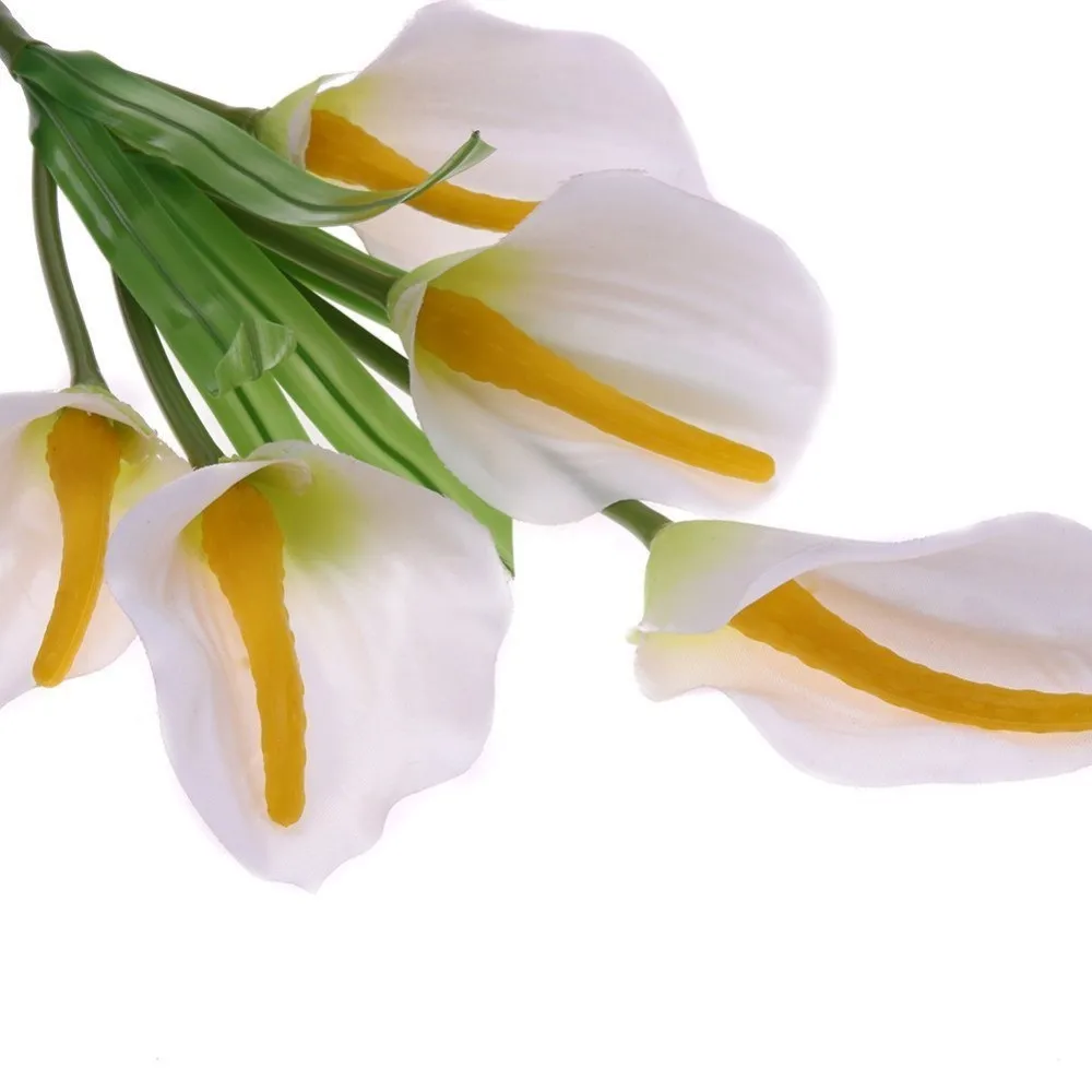 HTB1ev6SlljTBKNjSZFuq6z0HFXaJ_副本