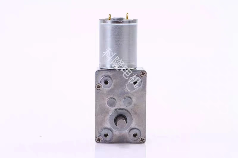 

12V DC Double Shaft Worm Gear Motor High Torque 70kg.cm 24 volt Motor Mini Turbine Worm Reducer Reversible A58SW31ZYS