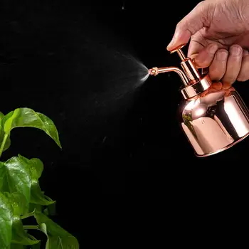 

1pc 300ml Vintage Plant Spritzer Watering Can Succulent Watering Bottle with Pump