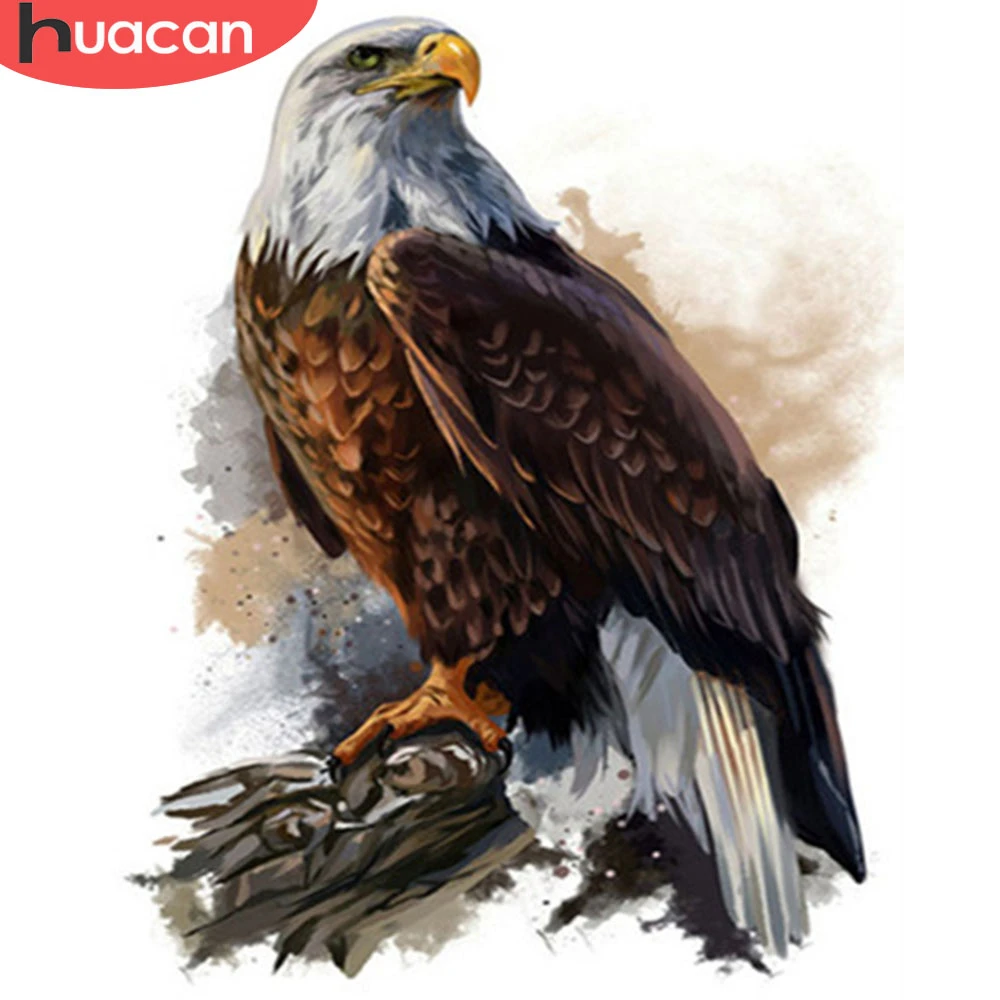 Oil Painting Scenery Painting Animal Eagle Paint By Number Kit Painting On Canvas DIY Painting Kit Color By Number