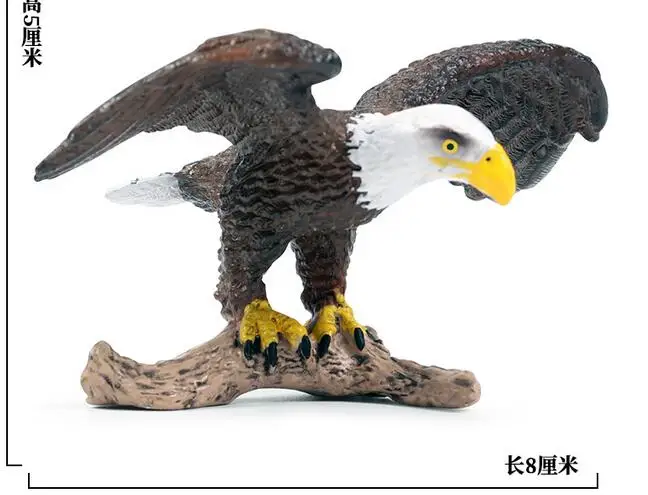 

crafts decor Exquisite agles sea owls bird wild animal owl child toy simulation model Animals and birds Wildlife park Birds