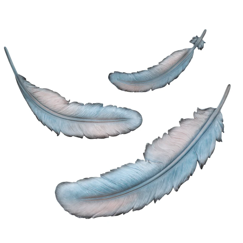 Northern Europe Feather Wall Decoration Wall Hanging Sofa Background Wall Pendant Ins Room Layout Creativity