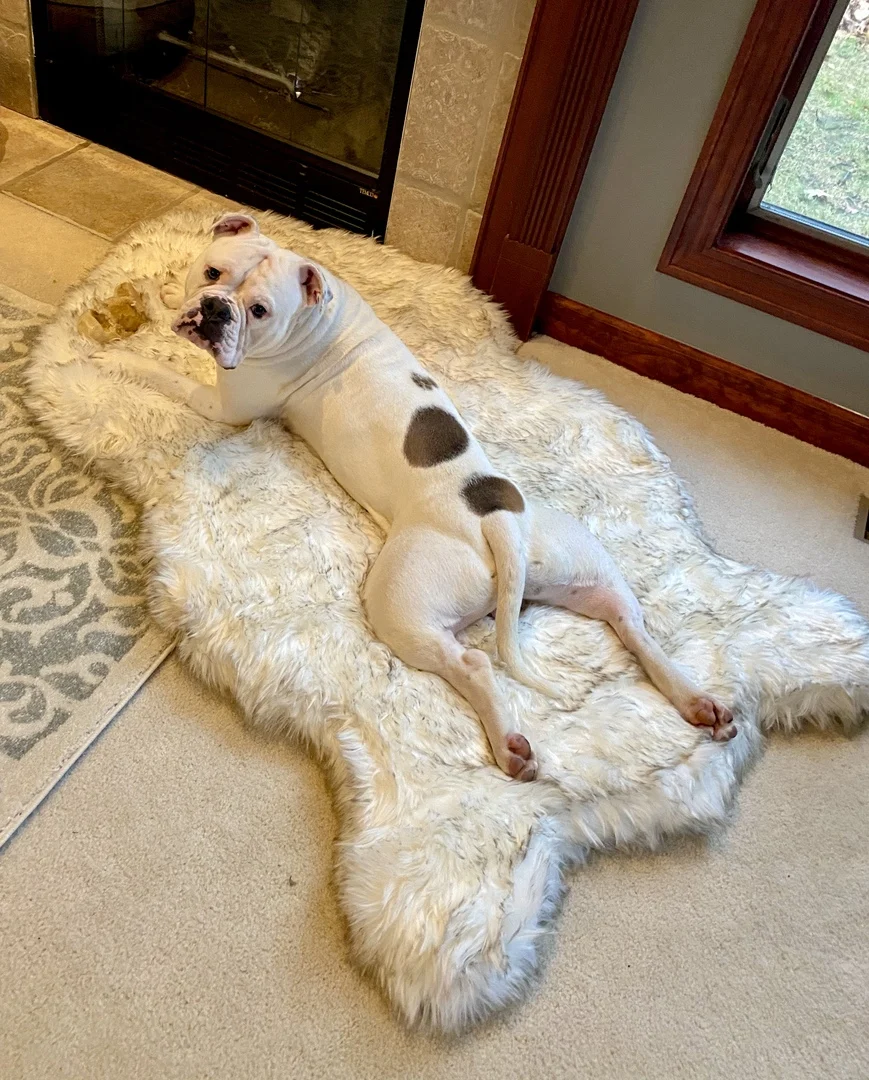 Коврик для собаки из искусственного меха изгибаемая белая зимняя мягкая теплая