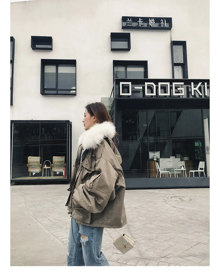 O1CN01ToutN62L5d1xqdINq_!!52129641