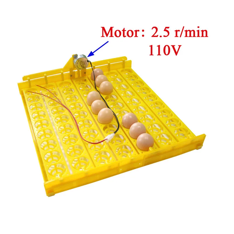 110v