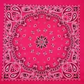 FL Rose red