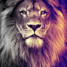 Kings Lion 5D алмазная живопись полная квадратная дрель животные Стразы мозаичная картина домашний Декор Ремесло Сделай Сам фабрика прямо на заказ