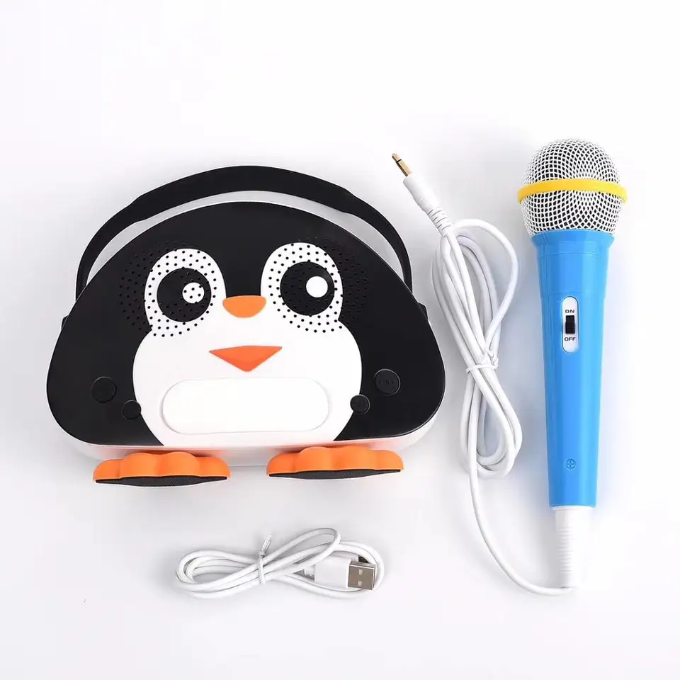 waterproof karaoke machine