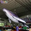 Factory Wholesale 3~12M Length Giant Inflatable Whale For Sale / 10 ft Inflatable Killer Whale Balloons - Toys 3