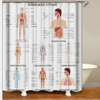 

Human Anatomy Shower Curtain Complete Chart of Different Organ System Cell Life Medical Illustration Bathroom decor 180x180cm