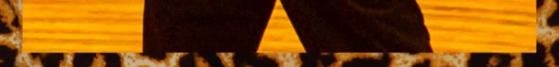 A3