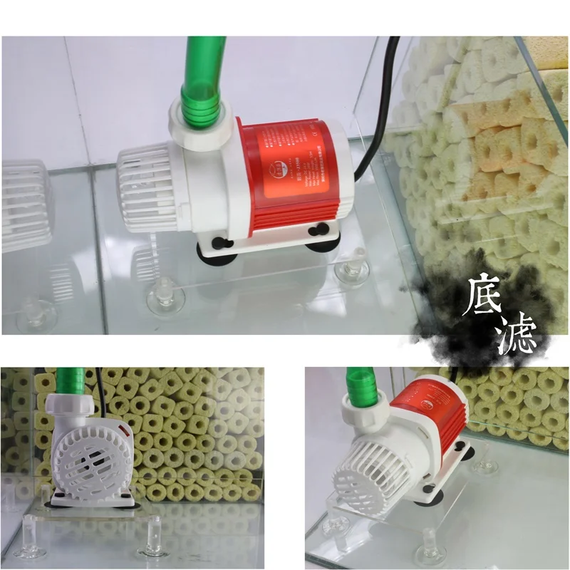 HTB1mYqLa8r0gK0jSZFnq6zRRXXac