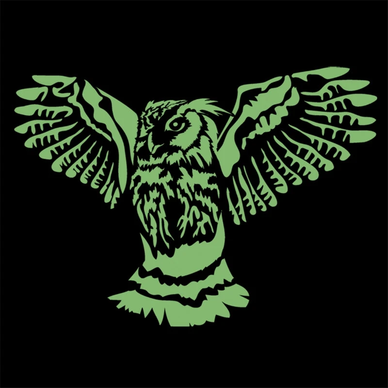 Patches Noctilucent Owl Stickers for Clothes Thermal Transfer Printing Pattern DIY Decoration Fashion Style Luminous Patch | Дом и сад