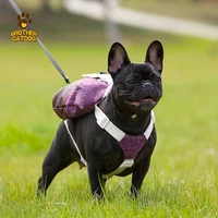 Outdoor Dog Backpack Harness Carrier with Poop Bag